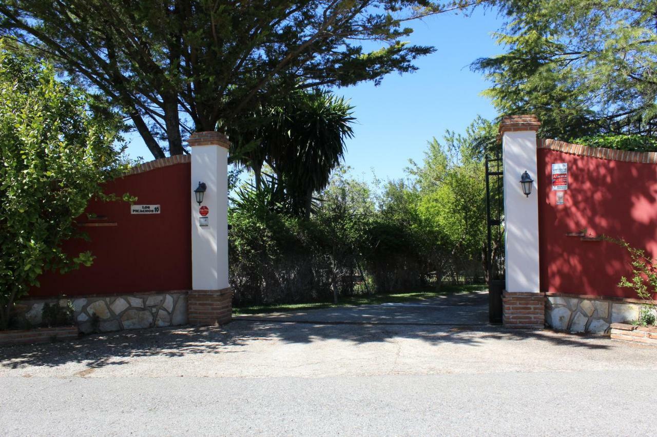 Los Picachos 10 Ronda Exterior photo